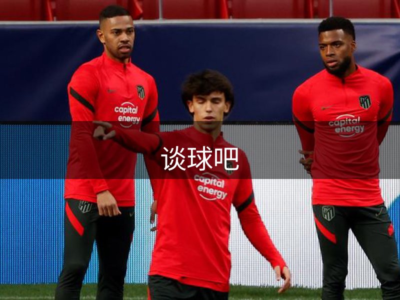 公司未来方向